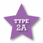 Type 2A