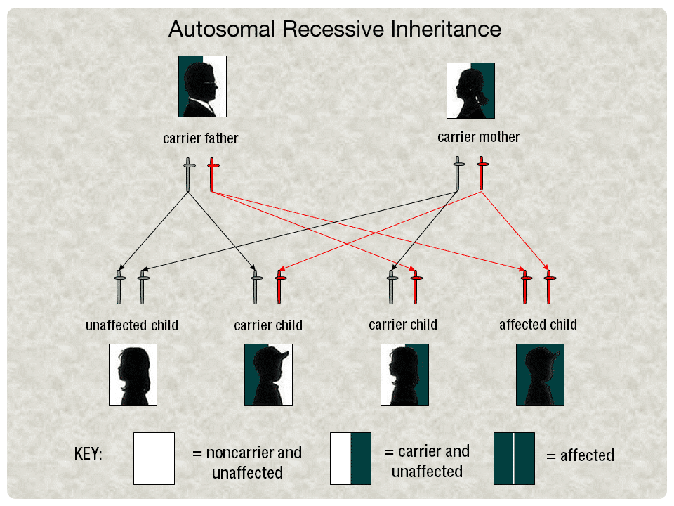 autosomal recessive inheritance