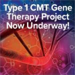 Type 1 CMT Gene Therapy Project Now Underway