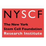 NYSCF and CMTA Announce Largest-Ever Research Resource for Neuropathy Disorders