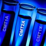 The CMTA Announces the Funding of a New Research Study for CMT2A