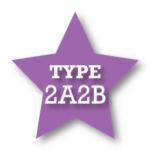 Type 2A2B