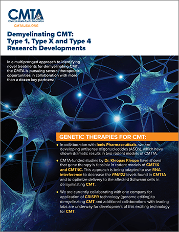 Type 1 Research Developments