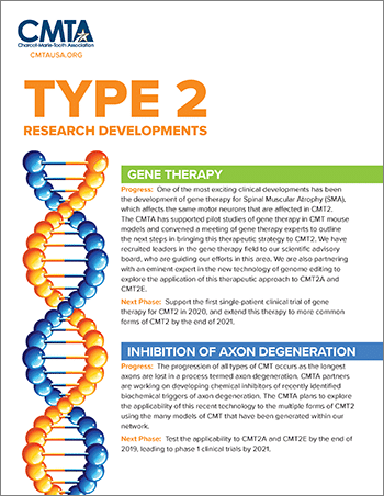 Type 2 Research Developments