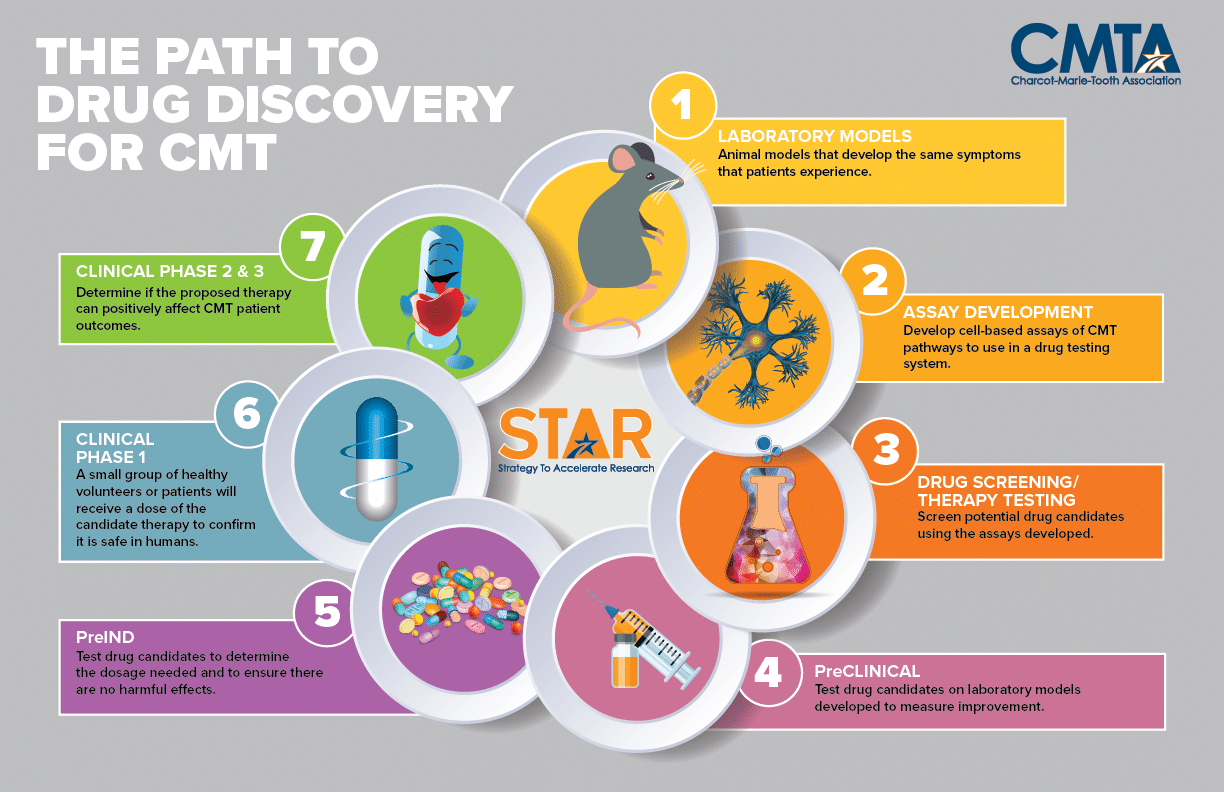 Path to Drug Discovery for CMT