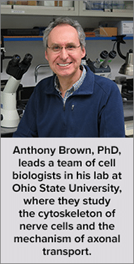 Anthony Brown