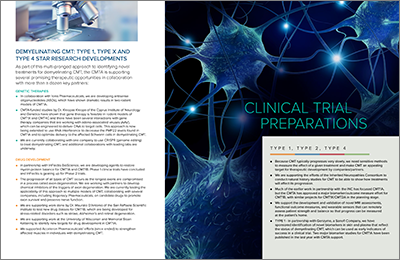 Type 1 Research Developments