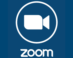 Zoom icon