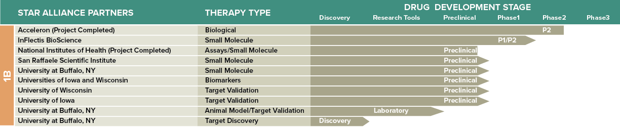 CMT1B Pipeline