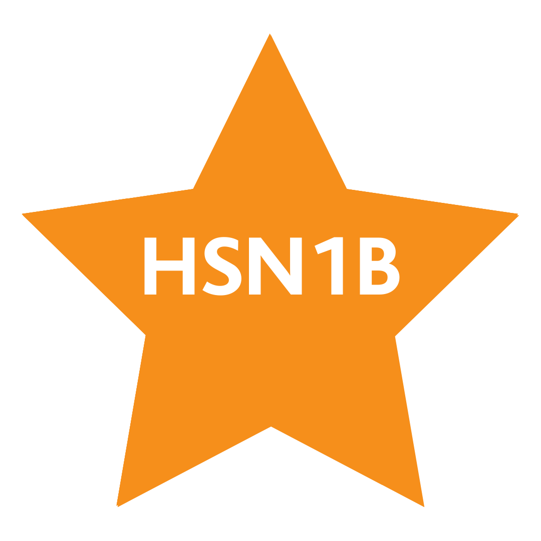 HSN1B