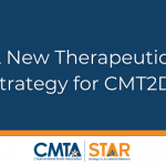 A New Therapeutic Strategy for CMT2D