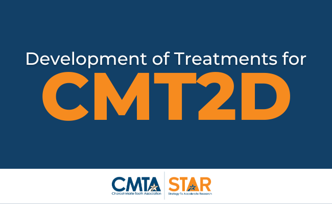 Development of Treatments for CMT2D