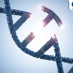 From Gene Discovery to Gene Editing: Closing the Diagnostic Gap and Developing CRISPR/Cas9 Capabilities in CMT