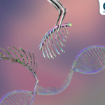 CMTA's $240K Investment Targets Gene Replacement Therapy in CMT4 Subtypes