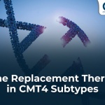 Gene Replacement Therapy in CMT4 Subtypes