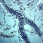 Accelerating Genetic Therapy for CMT4B1: A CMTA Research Update