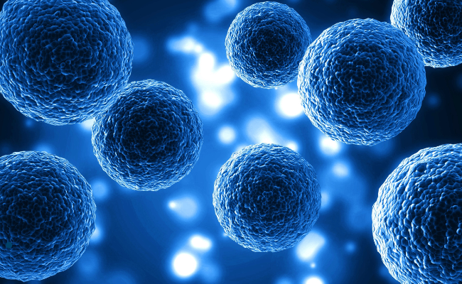 CMTA-STAR-funded research, published in Brain, highlights XBP1 as a potential therapeutic target for CMT1B, CMT1A, and CMT1E. Read more about this breakthrough.