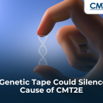 This Genetic Tape Could Silence the Cause of CMT2E